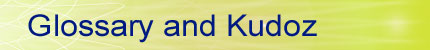 Glossary and Kudoz